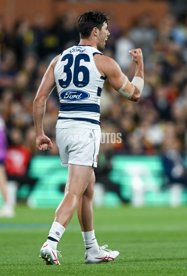 AFL 2024 Round 02 - Adelaide v Geelong - A-46626210
