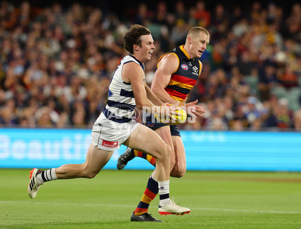 AFL 2024 Round 02 - Adelaide v Geelong - A-46626211