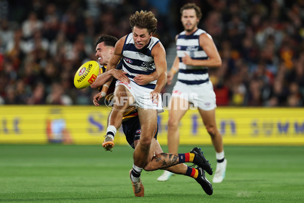 AFL 2024 Round 02 - Adelaide v Geelong - A-46626216