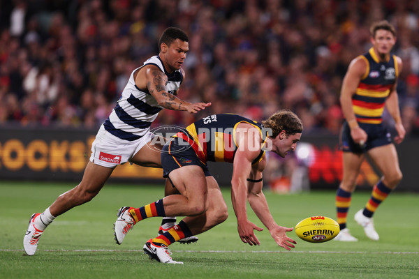 AFL 2024 Round 02 - Adelaide v Geelong - A-46626239