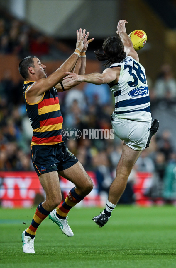AFL 2024 Round 02 - Adelaide v Geelong - A-46626240
