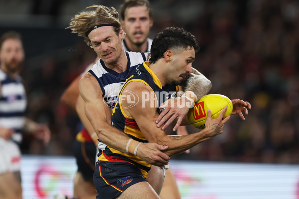 AFL 2024 Round 02 - Adelaide v Geelong - A-46626246