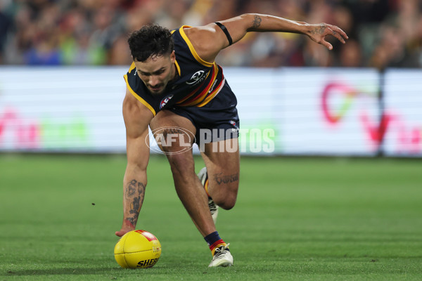 AFL 2024 Round 02 - Adelaide v Geelong - A-46626249
