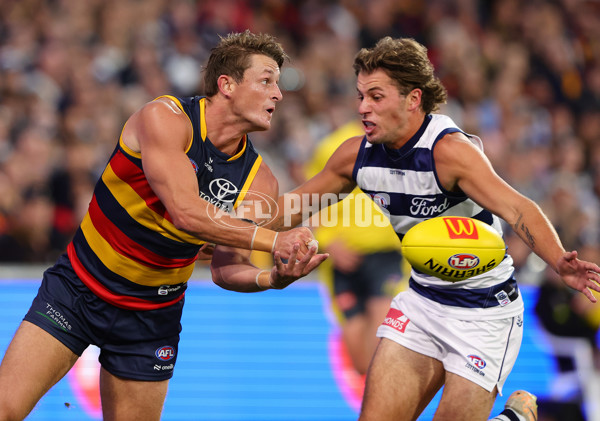 AFL 2024 Round 02 - Adelaide v Geelong - A-46626259