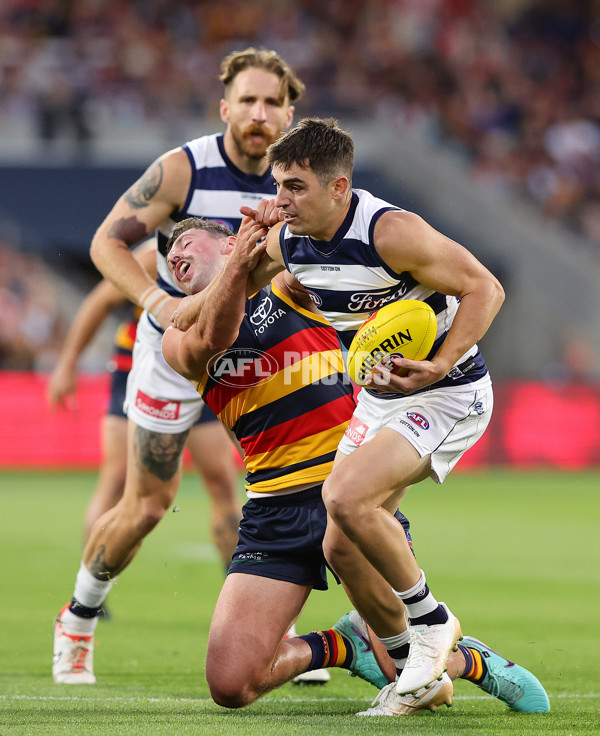 AFL 2024 Round 02 - Adelaide v Geelong - A-46626264