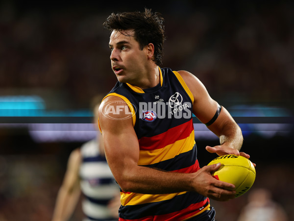 AFL 2024 Round 02 - Adelaide v Geelong - A-46626278
