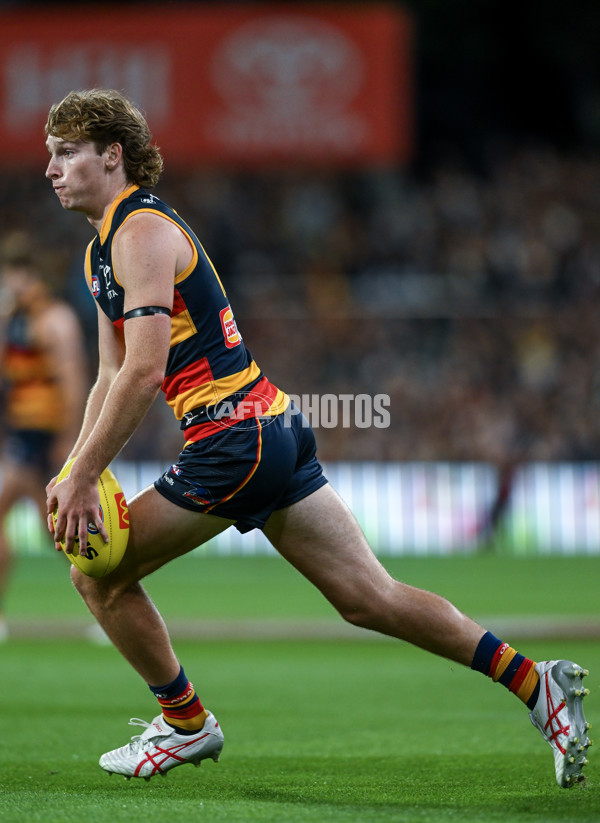 AFL 2024 Round 02 - Adelaide v Geelong - A-46626279