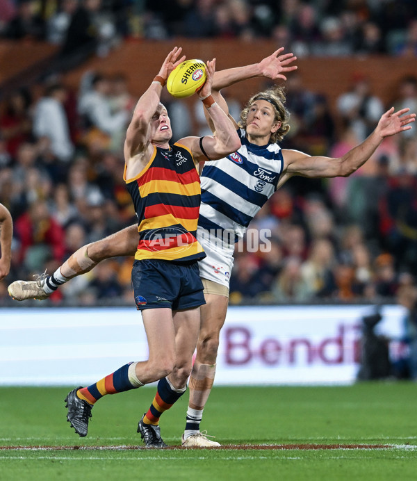 AFL 2024 Round 02 - Adelaide v Geelong - A-46626292