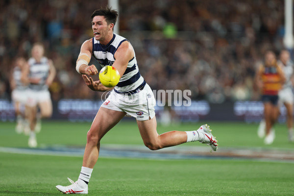 AFL 2024 Round 02 - Adelaide v Geelong - A-46626295