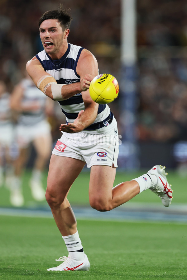 AFL 2024 Round 02 - Adelaide v Geelong - A-46626296