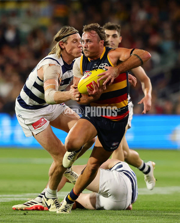 AFL 2024 Round 02 - Adelaide v Geelong - A-46626301