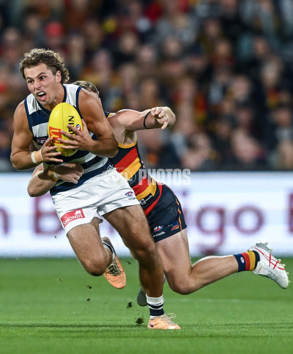 AFL 2024 Round 02 - Adelaide v Geelong - A-46626302