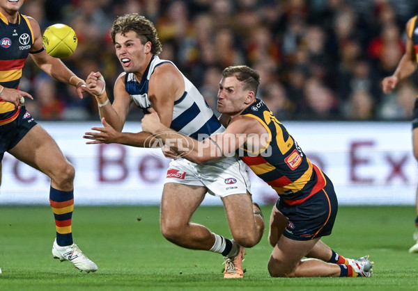 AFL 2024 Round 02 - Adelaide v Geelong - A-46626304