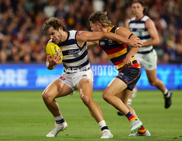 AFL 2024 Round 02 - Adelaide v Geelong - A-46626308