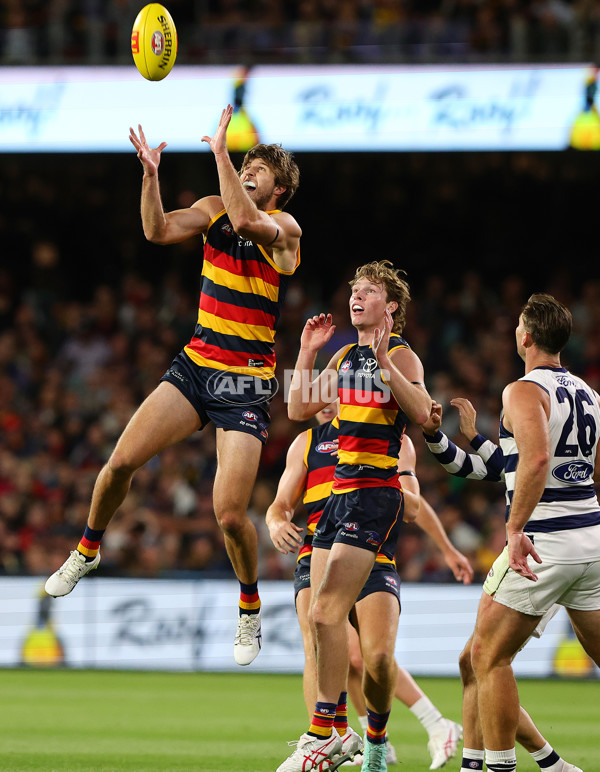 AFL 2024 Round 02 - Adelaide v Geelong - A-46626312