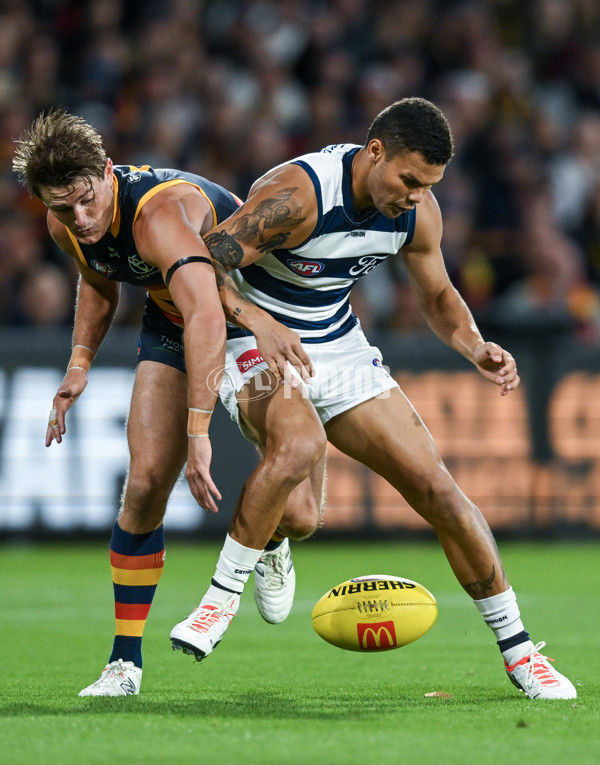 AFL 2024 Round 02 - Adelaide v Geelong - A-46626313