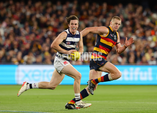 AFL 2024 Round 02 - Adelaide v Geelong - A-46626318