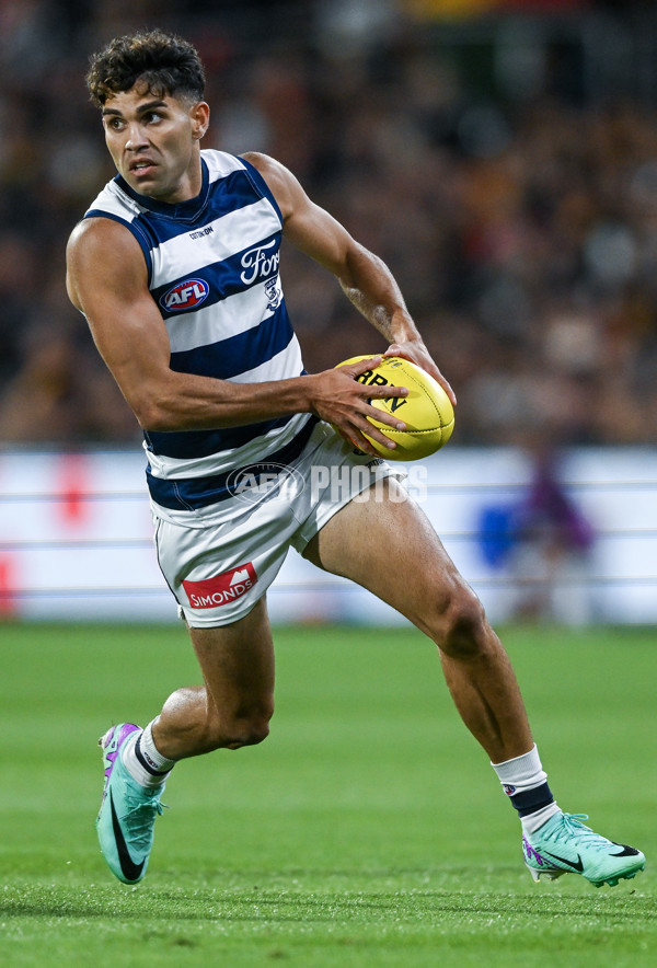AFL 2024 Round 02 - Adelaide v Geelong - A-46626320
