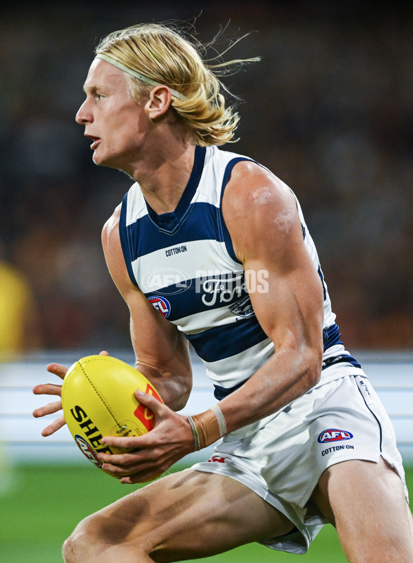 AFL 2024 Round 02 - Adelaide v Geelong - A-46626322