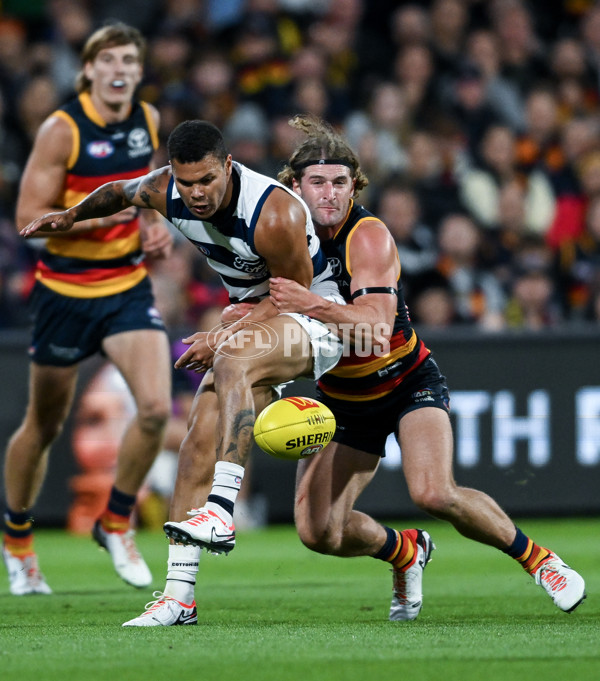 AFL 2024 Round 02 - Adelaide v Geelong - A-46626328