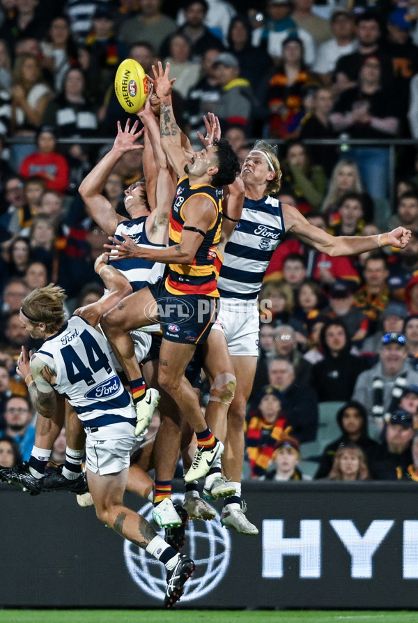 AFL 2024 Round 02 - Adelaide v Geelong - A-46626329