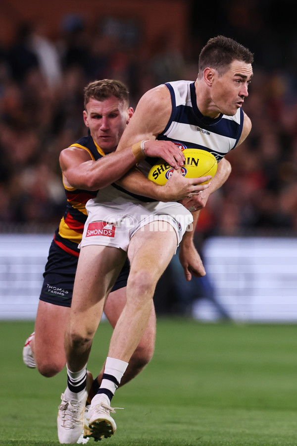 AFL 2024 Round 02 - Adelaide v Geelong - A-46626333