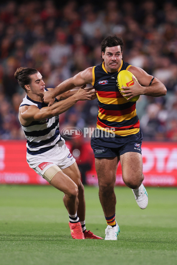 AFL 2024 Round 02 - Adelaide v Geelong - A-46628573