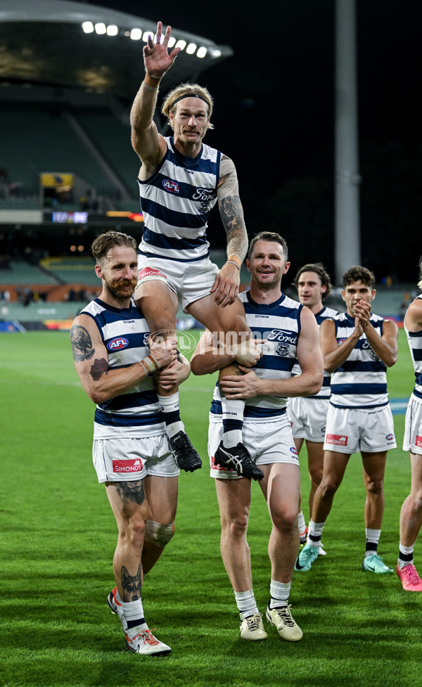 AFL 2024 Round 02 - Adelaide v Geelong - A-46628667