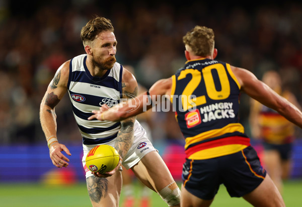 AFL 2024 Round 02 - Adelaide v Geelong - A-46631182