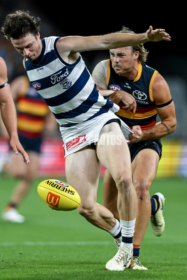 AFL 2024 Round 02 - Adelaide v Geelong - A-46631190