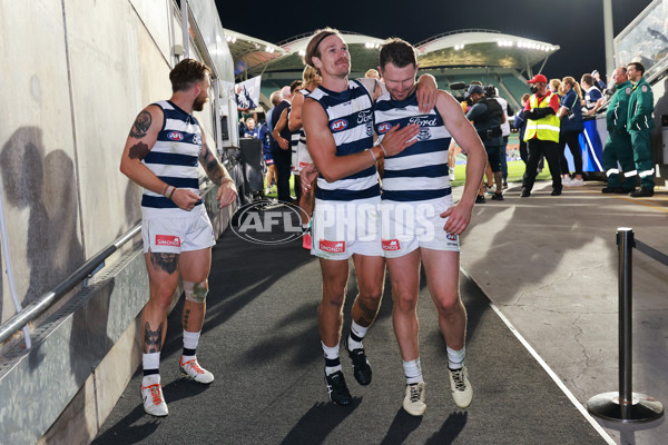 AFL 2024 Round 02 - Adelaide v Geelong - A-46631499