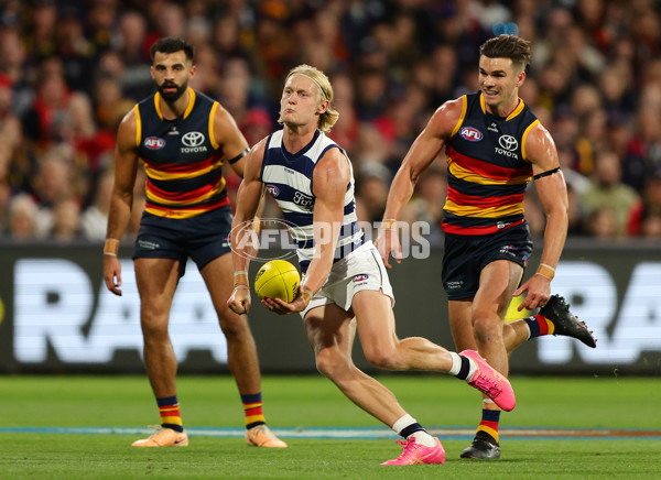 AFL 2024 Round 02 - Adelaide v Geelong - A-46631564