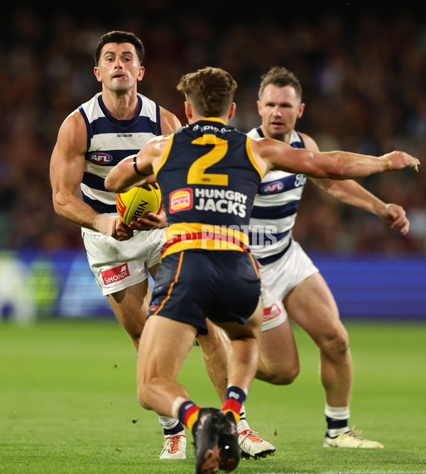 AFL 2024 Round 02 - Adelaide v Geelong - A-46631575