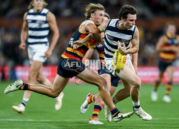 AFL 2024 Round 02 - Adelaide v Geelong - A-46631581