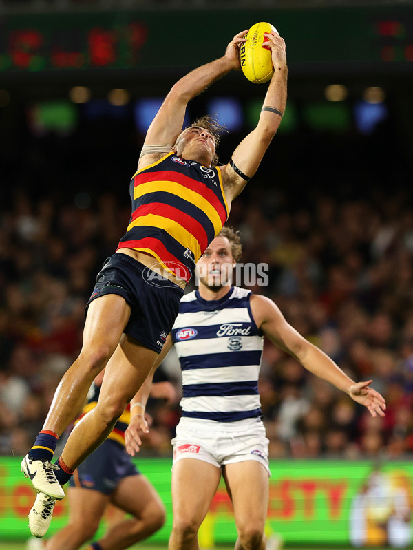 AFL 2024 Round 02 - Adelaide v Geelong - A-46631582