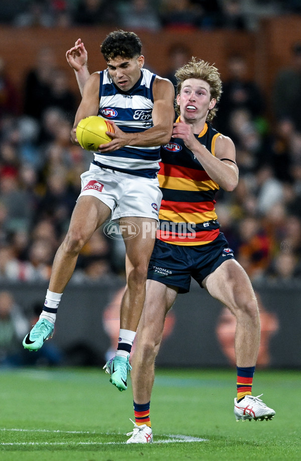 AFL 2024 Round 02 - Adelaide v Geelong - A-46631593