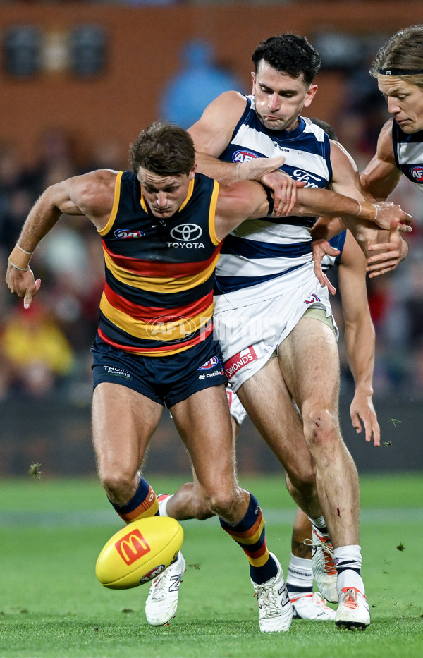 AFL 2024 Round 02 - Adelaide v Geelong - A-46633619