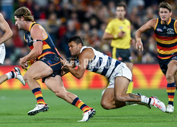 AFL 2024 Round 02 - Adelaide v Geelong - A-46633620