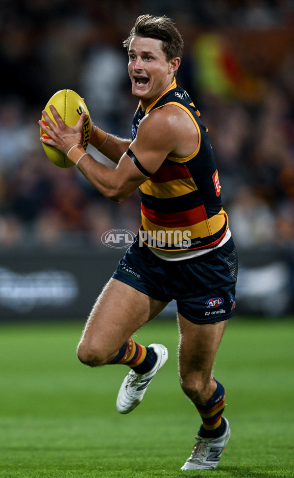 AFL 2024 Round 02 - Adelaide v Geelong - A-46633632