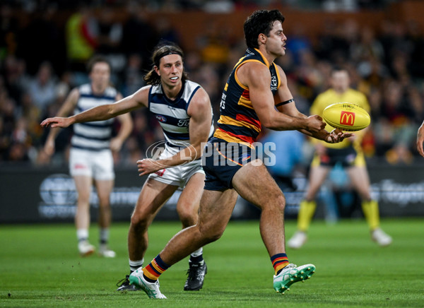 AFL 2024 Round 02 - Adelaide v Geelong - A-46633633