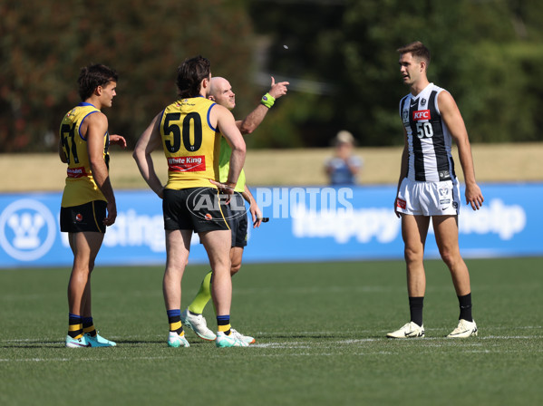 VFL 2024 Round 01 - Sandringham v Collingwood - A-46633641