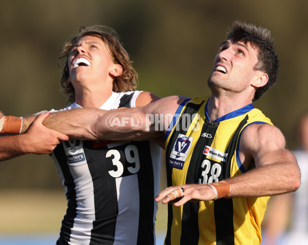 VFL 2024 Round 01 - Sandringham v Collingwood - A-46633645