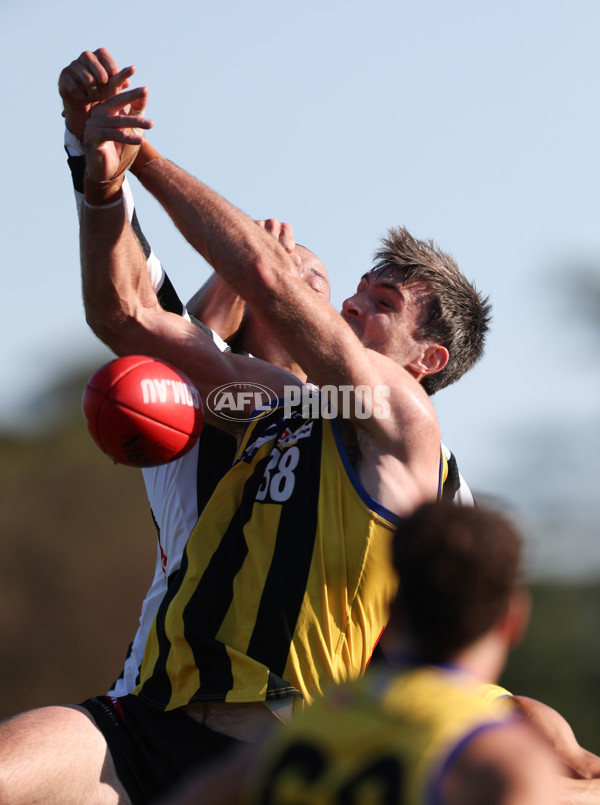 VFL 2024 Round 01 - Sandringham v Collingwood - A-46633648