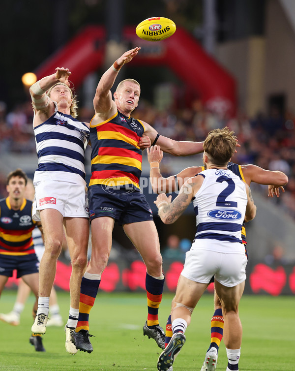 AFL 2024 Round 02 - Adelaide v Geelong - A-46633655