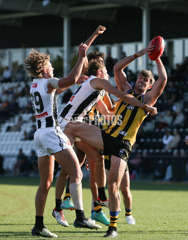 VFL 2024 Round 01 - Sandringham v Collingwood - A-46633657