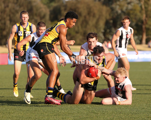 VFL 2024 Round 01 - Sandringham v Collingwood - A-46633659