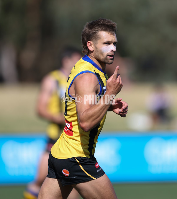 VFL 2024 Round 01 - Sandringham v Collingwood - A-46634227