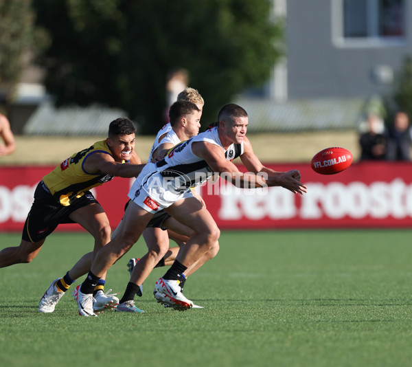 VFL 2024 Round 01 - Sandringham v Collingwood - A-46634231