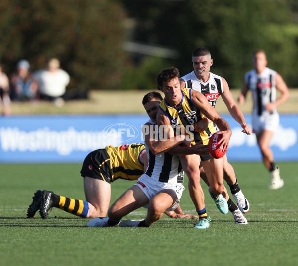 VFL 2024 Round 01 - Sandringham v Collingwood - A-46634233