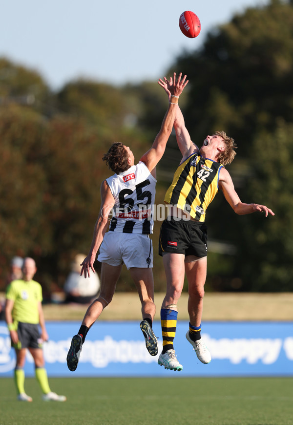 VFL 2024 Round 01 - Sandringham v Collingwood - A-46634234